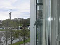 Idag 2004-04-25 026.jpg